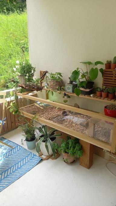 Le Doubs Cosy Διαμέρισμα Μπεζανσόν Εξωτερικό φωτογραφία